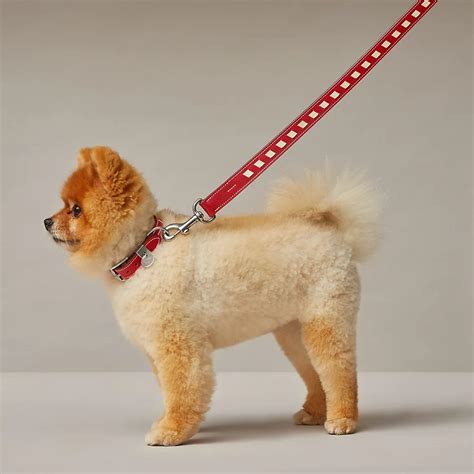 hermes dog collar and leash